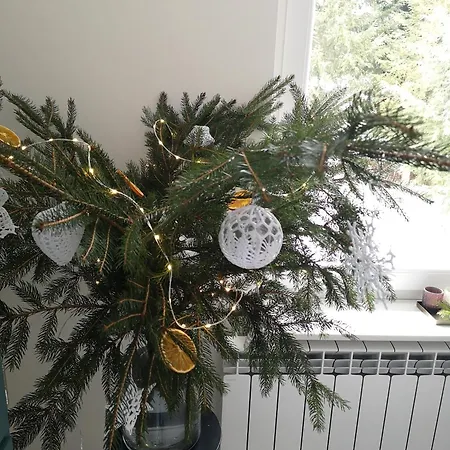 Przytulny Sudecki Klimat By Spaceapart Lejlighed